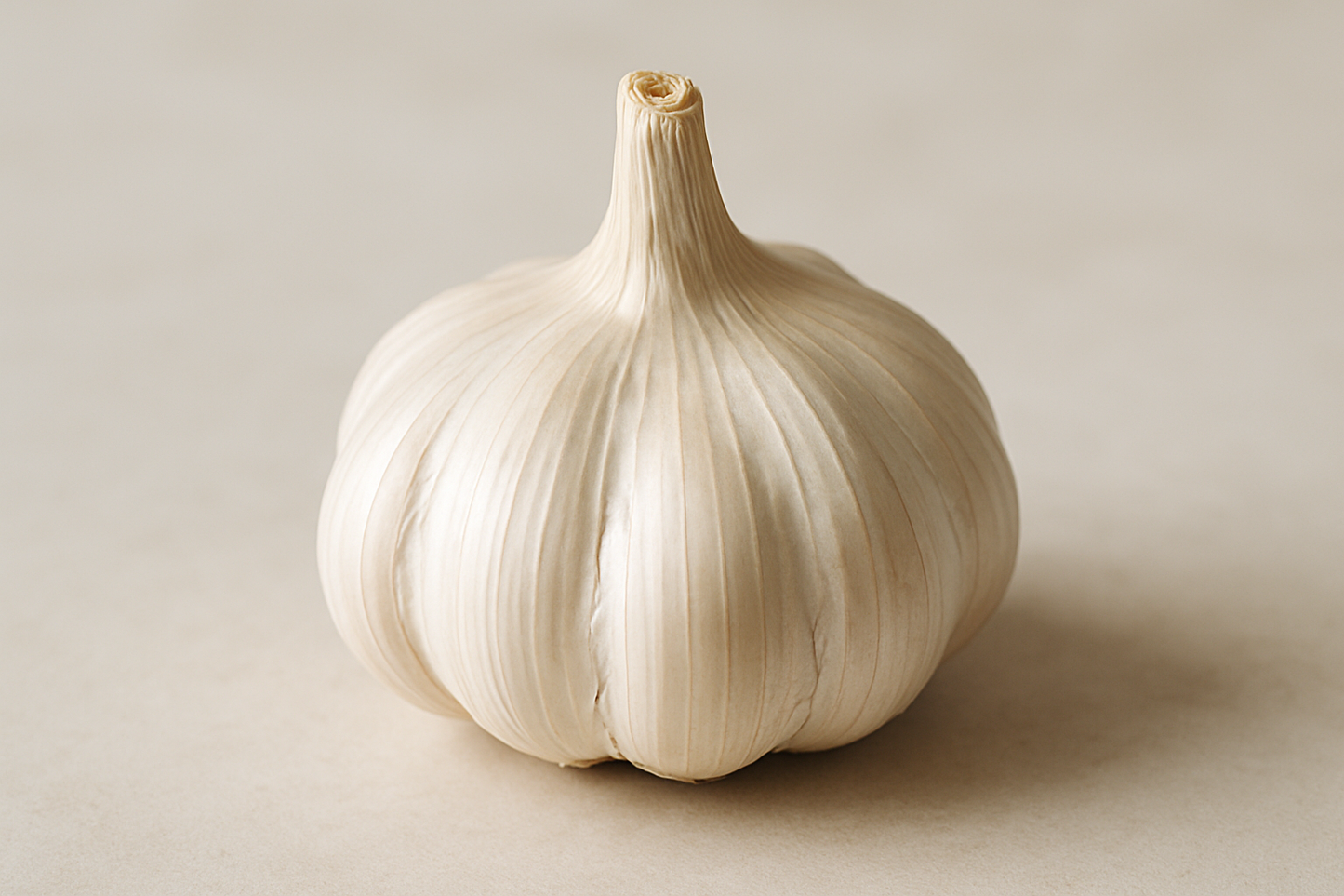 Garlic Bulb