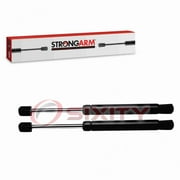 2 pc Strong Arm 6489 Hood Lift Supports for 811613Q000 SG367017 Body