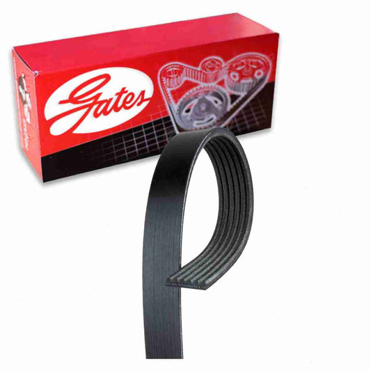 Gates Alternator AC Micro-V Serpentine Belt Toyota Camry 3.0L V6 1998-2001