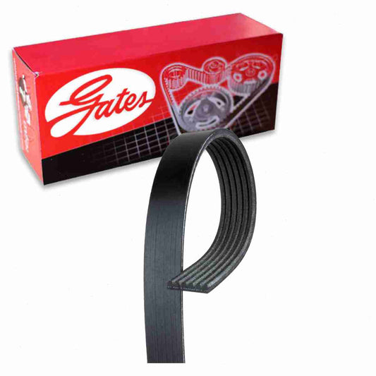 Gates Micro-V Serpentine Belt Mercury Grand Marquis 4.6L V8 2000-2002