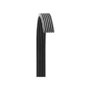 Dayco Poly Rib Belt, Premium