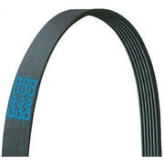 Dayco E030301 V-Ribbed Belt Fits select: 2011-2015 HYUNDAI SONATA, 2011-2016 KIA OPTIMA